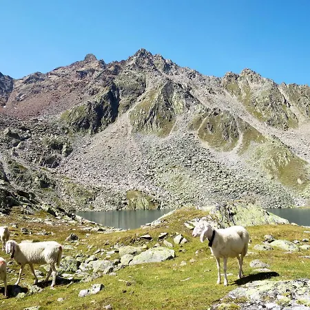 Birkenheim-2 By Interhome Daire *