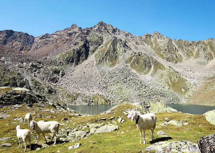 Birkenheim-2 By Interhome Appartamento *